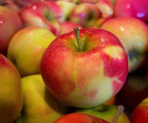 Polska największym producentem jabłek