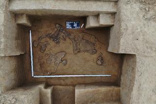 Niezwykłe znalezisko na budowie S19 „Via Carpthia”. Archeologowie pracują na miejscu 