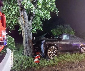 Groźne zdarzenie w Piekarach Śląskich. Kierujący BMW wjechał w przydrożne drzewo