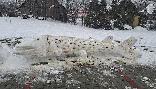 Ulepił ze śniego gigantyczne ryby