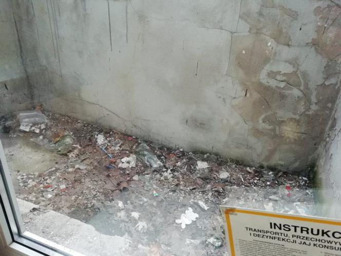 Pili alkohol na stołówce w podstawówce