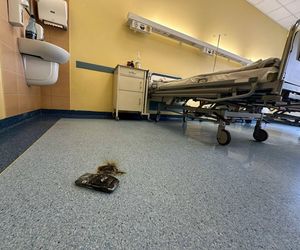 Nie było „dymka”, więc cisnął telefonem! Alarm w szpitalu, strażacy w akcji