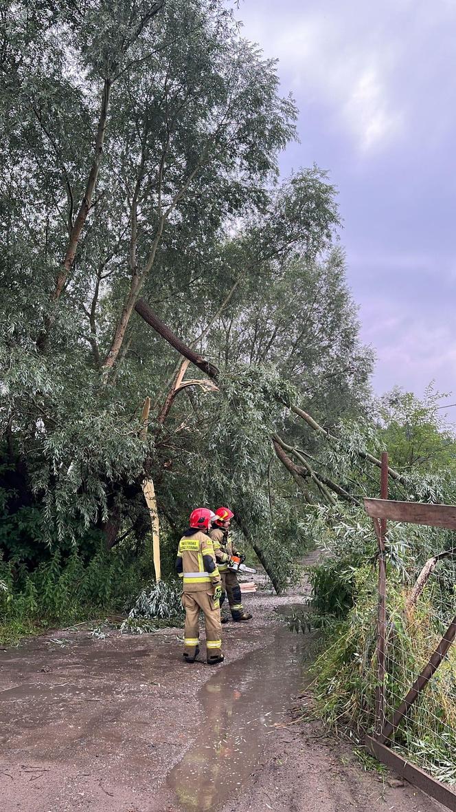 Tragiczne skutki nawałnicy na Kujawach i Pomorzu! Jednej osoba wciąż nie odnaleziono