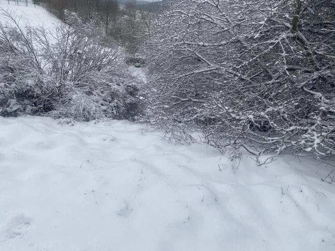 Śnieg na Pomorzu. Zima w obiektywach naszych Czytelników