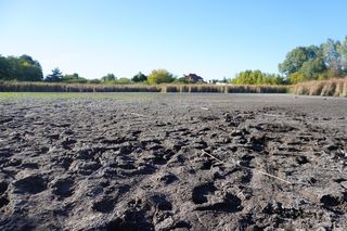 Wyschnięte Jeziorko Imielińskie w Warszawie