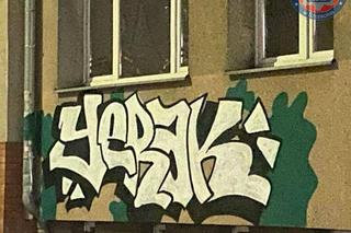 Nieletni wandale wpadli na gorącym uczynku