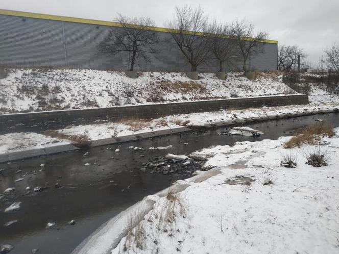 Strażacy usuwali zator lodowy na tamie zalewu Pasternik