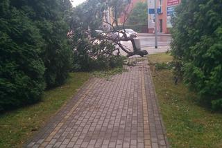 Skutki burzy w Rzeszowie