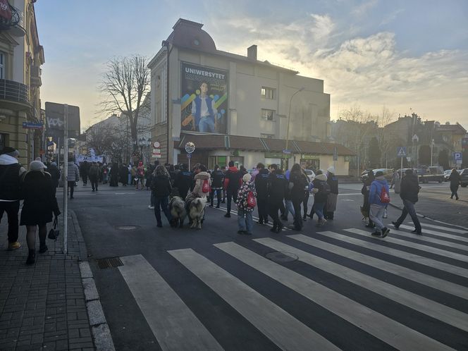 33. finał Wielkiej Orkiestry Świątecznej Pomocy w Rzeszowie