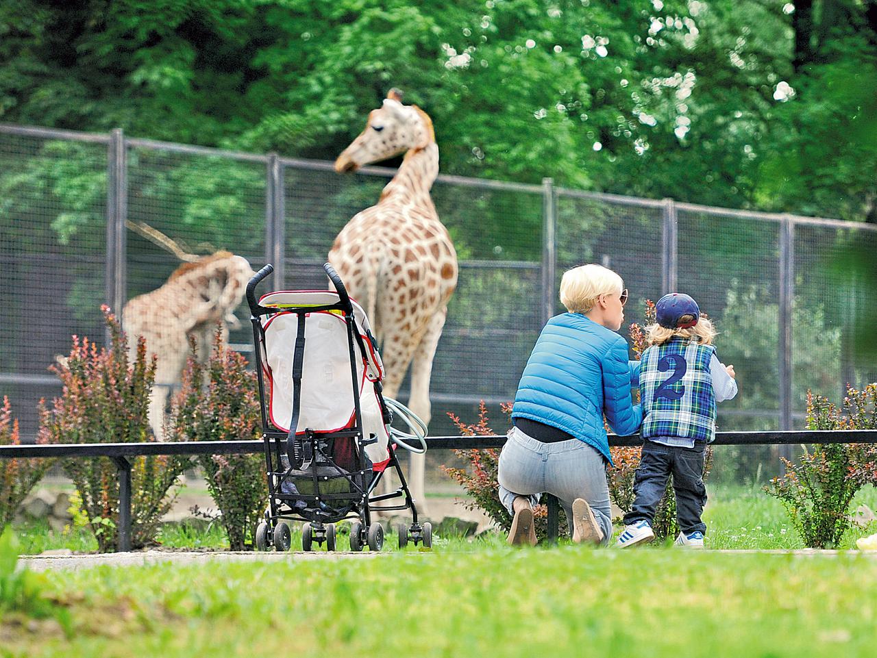 Weronika Książkiewicz zabrała synka Boryska do zoo