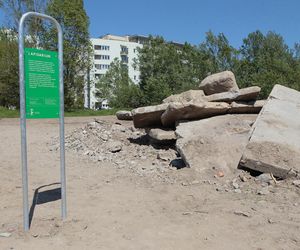 Potworki ursynowskie robią furorę w sieci. Mieszkańcy dzielnicy podzieleni. „Kto na to pozwalał”