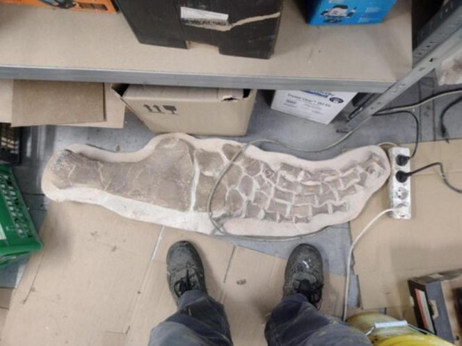 Mineral Expo w Pałacu Kultury ze szkieletem ichtiozaura