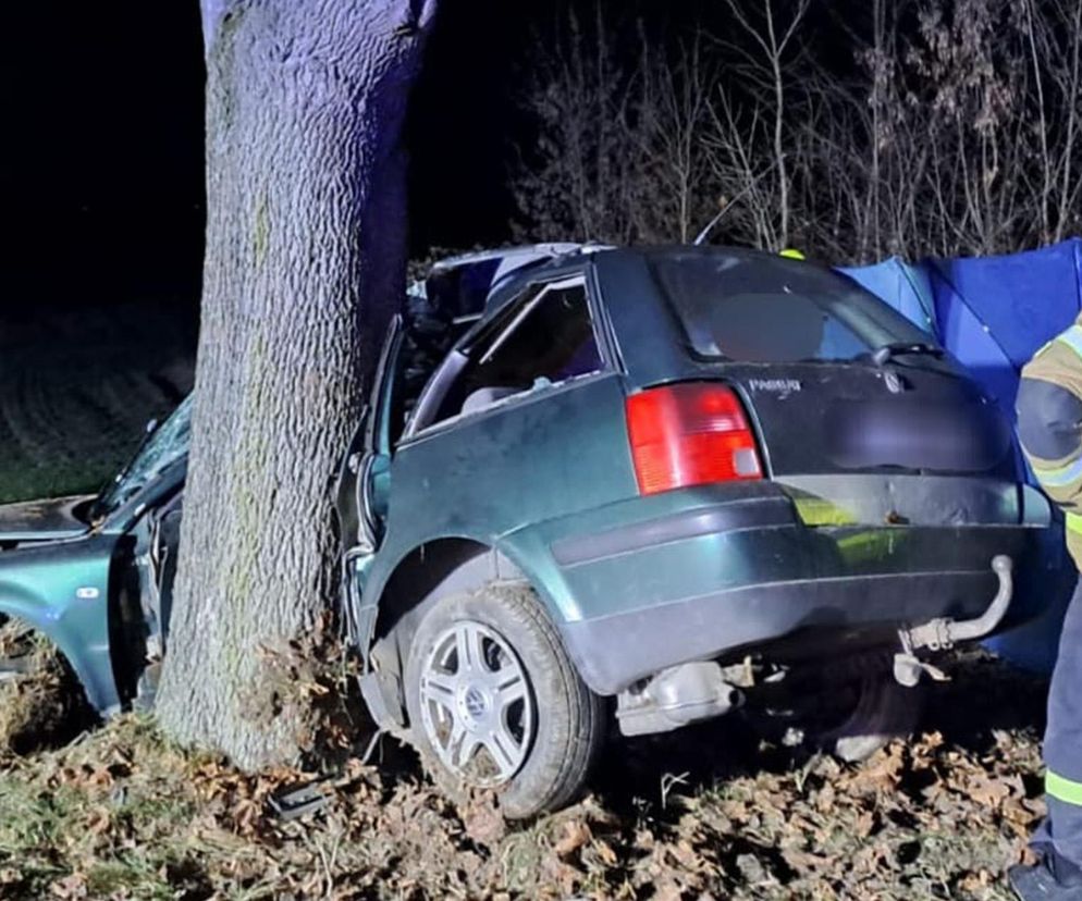 Śmiertelny wypadek pod Rykami. 39-latka nie żyje, jej dziecko w szpitalu 