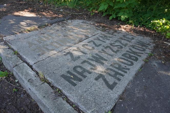 Lublin. W XX wieku to miejsce tętniło życiem. Jak dziś wygląda teren po dawnej Fabryce Samochodów Ciężarowych na Tatarach?