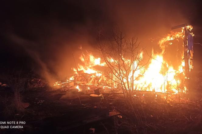 Spłonęła altana działkowa przy Dożynkowej w Lesznie. W środku był człowiek 
