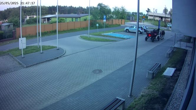 Poddębice. Wóz konny na parkingu komendy. Kierowca nietrzeźwy i z dożywotnim zakazem [ZDJĘCIA]. 