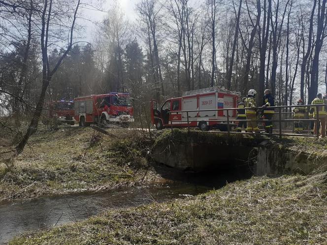 Płock. „Bus wpadł do rzeki, 4 osoby wyciągnięte z pojazdu”. Skandaliczne zachowanie zgłaszającego! [ZDJĘCIA]