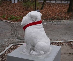 WidziMisie w Białymstoku gotowe na zimę