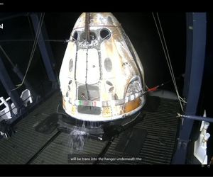 Sławosz Uznański-Wiśniewski