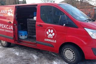 Pies uratowany przez policjantów z Tczewa