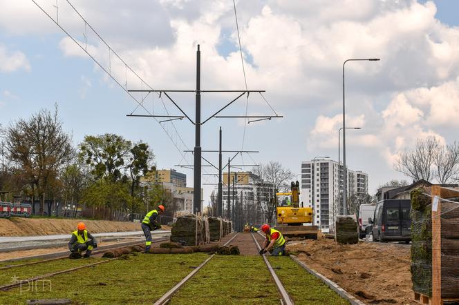 Trasa tramwajowa na Naramowice się zazieleniła 