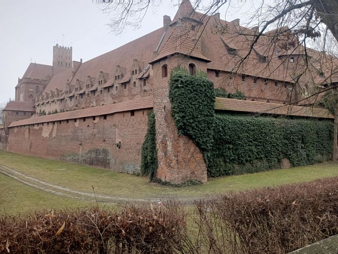 Zamek Krzyżacki w Malborku