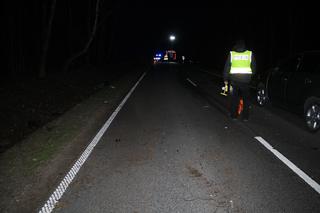 Koszmarny wypadek w Puszczy Miejskiej koło Rypina. Kierowca BMW zginął na miejscu