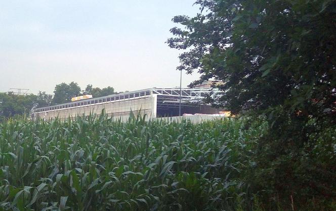 Lidl w Zabrzu-Biskupicach