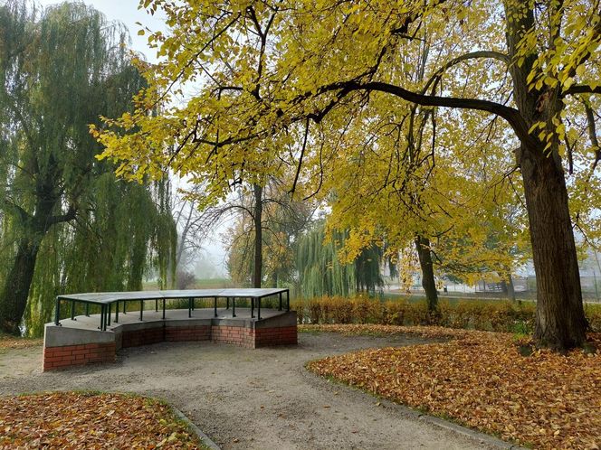Zamojski Park jesienią