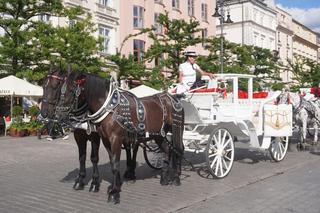 Dorożkarze chcą trafić na listę UNESCO, aktywiści reagują. U nas stanowiska obu stron