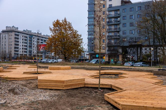 Pierwsze drzewa w parku nad obwodnicą na Ursynowie