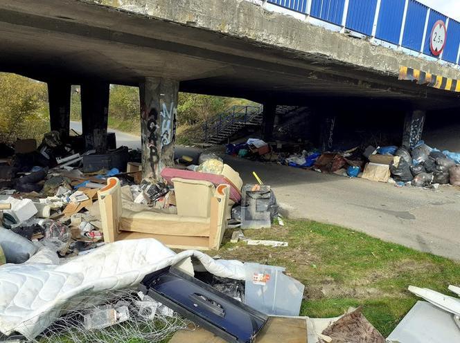 Nowy Sącz. Fotopułapki pomogą w walce z dzikimi wysypiskami?