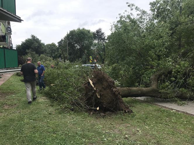 Jedną z dzielnic, któa ucierpiała najbardziej był Czechów Południowy