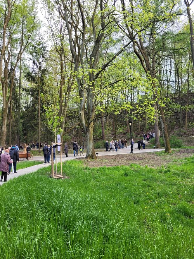 Kraków. Wyremontowany park Bednarskiego oficjalnie otwarty