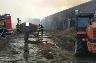 Strażacy gaszą pożar obory w Piskorni w pow. rawickim