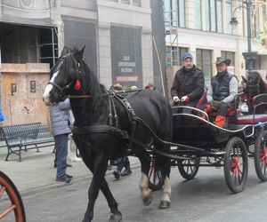 Wielka Szarża w centrum Łodzi. Oddziały konne przeszły przez Piotrkowską