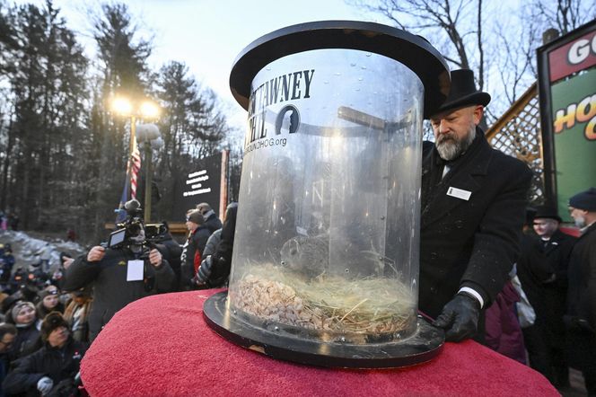 Świstak przepowiedział sześć tygodni zimy