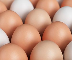 Dieta jajeczna – błyskawiczna dieta bazująca na 6 jajkach dziennie