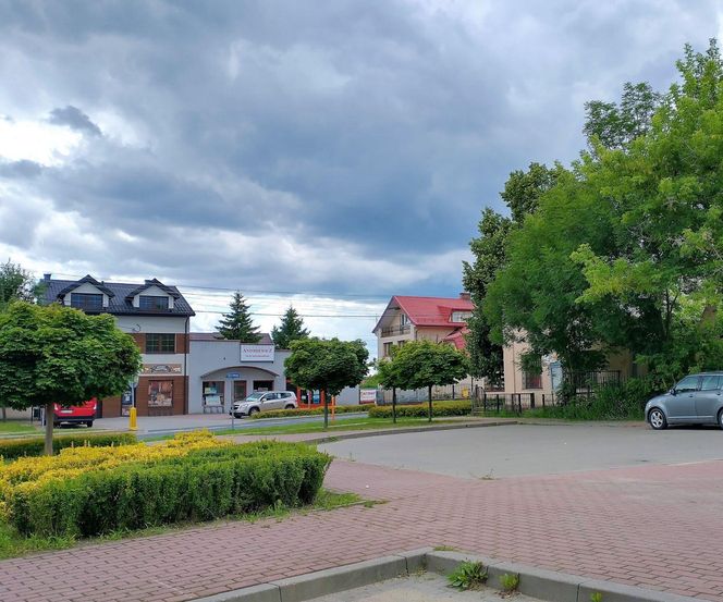 6. Siennica
