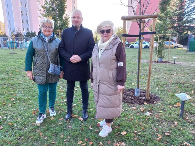 Danusia, Halinka, Linkus, Seniorita i Stasiu zapuszczają korzenie. Nowe nasadzenia w Lesznie