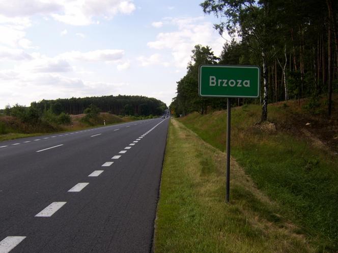 Wieś Brzoza