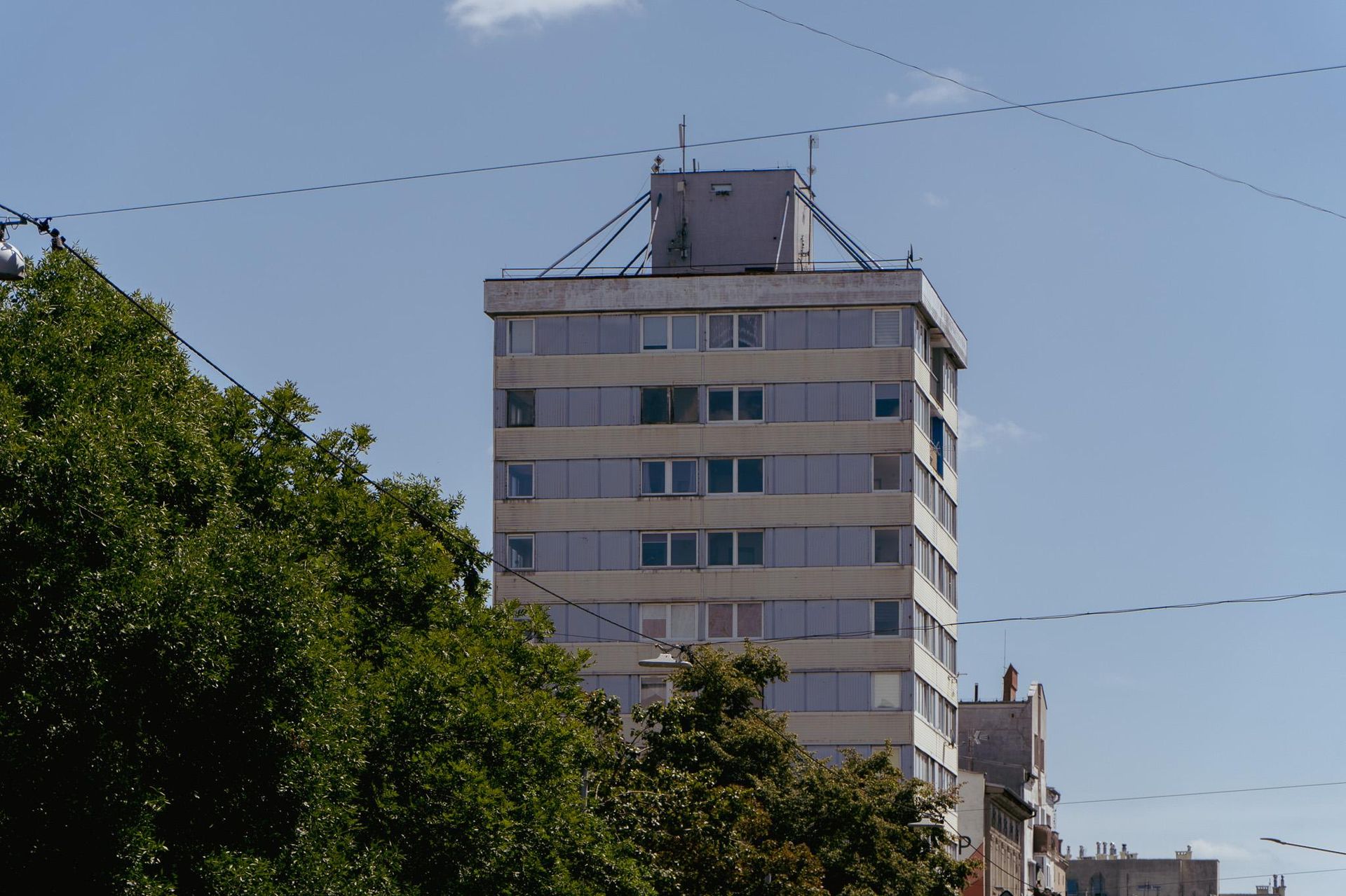 Trzonolinowiec we Wrocławiu