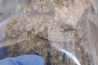 Narkotyki zabezpieczone podczas akcji policji