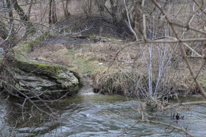 Spacer doliną Bystrzycy na lubelskim Wrotkowie