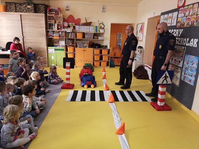 Zebra uczy dzieci przechodzić przez... zebrę