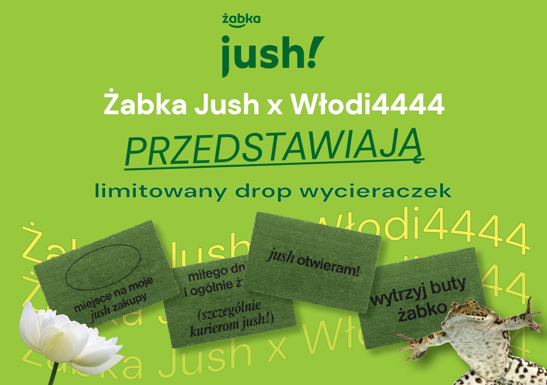 Żabka Jush łączy siły z wlodim4444. Wyjątkowy drop wycieraczek z ...