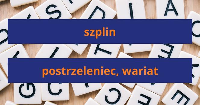 Słownik gwary poznańskiej - znasz najważniejsze słowa?