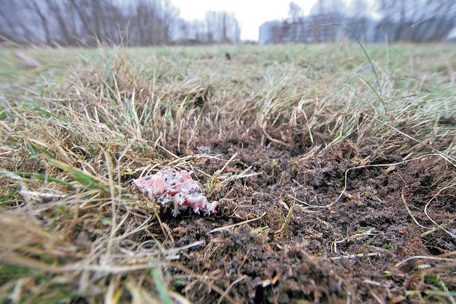 Ostrożnie z fajerwerkami!