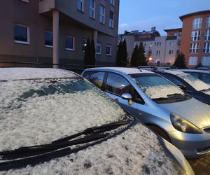 Pierwszy śnieg spadł w Poznaniu i okolicach