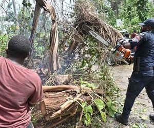 Jamajka nierozpoznawalna po kataklizmie! Ogromne zniszczenia, wideo przeraża